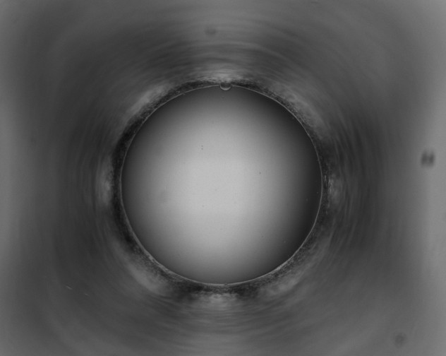 X0000102340304200808081137