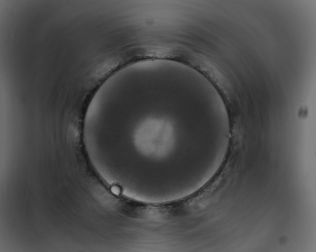 X0000102340305200808081137