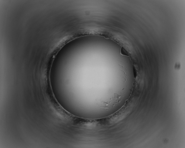 X0000102340306200808081137