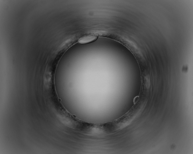 X0000102340308200808081137