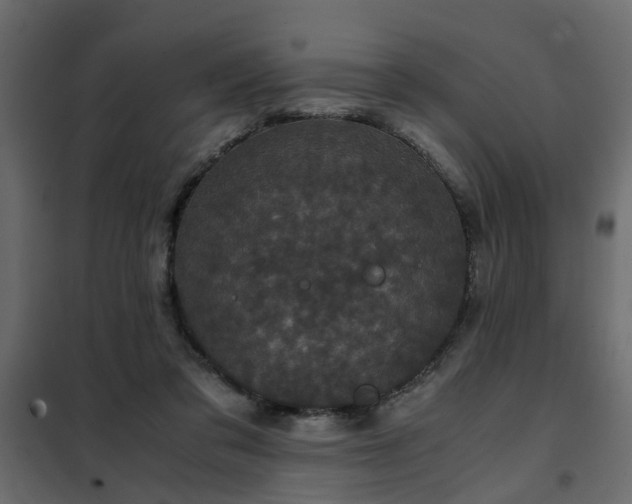 X0000102340309200808081137