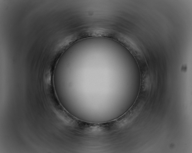 X0000102340310200808081137