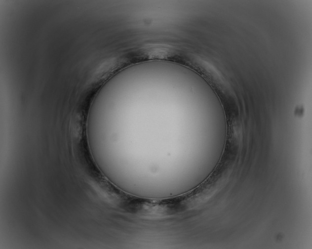 X0000102340311200808081137