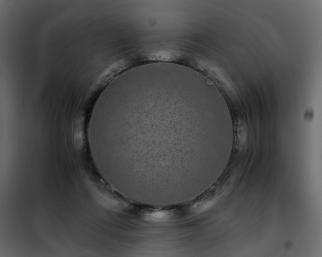 X0000102340312200808081137