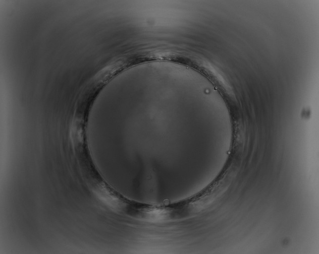 X0000102340313200808081137