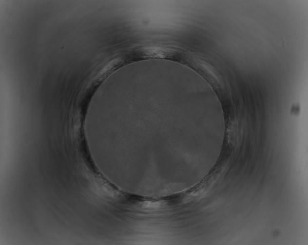 X0000102340314200808081137