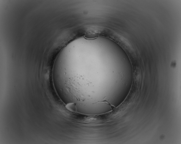 X0000102340315200808081137