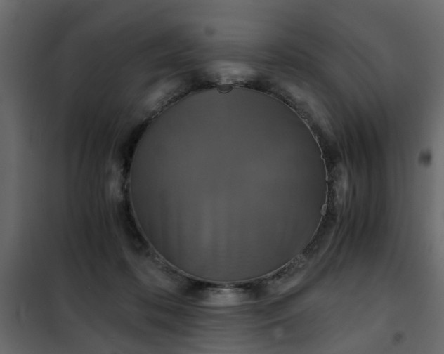 X0000102340316200808081137