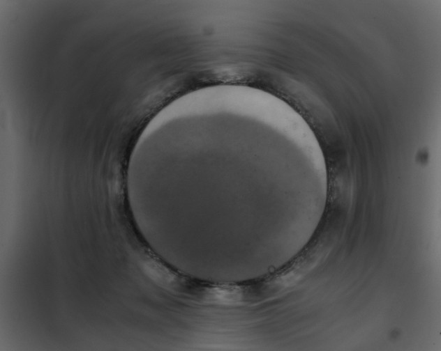 X0000102340317200808081137