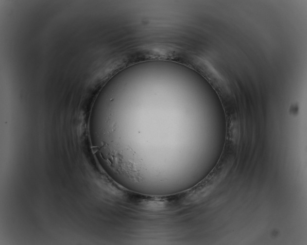 X0000102340318200808081137