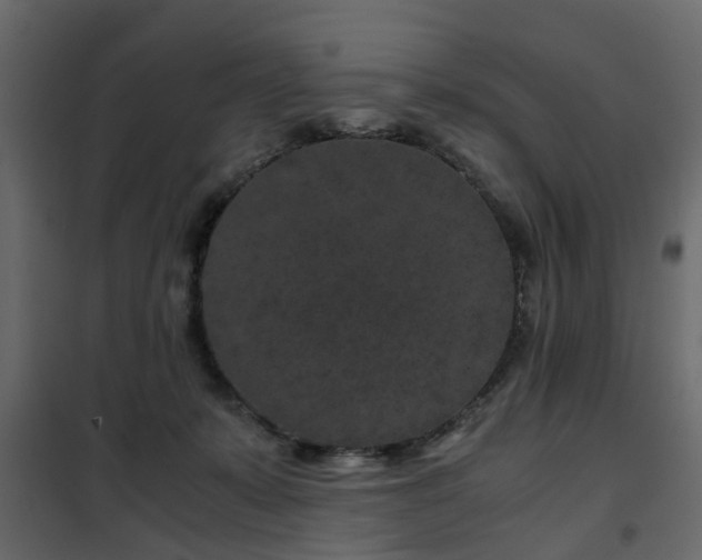 X0000102340319200808081137