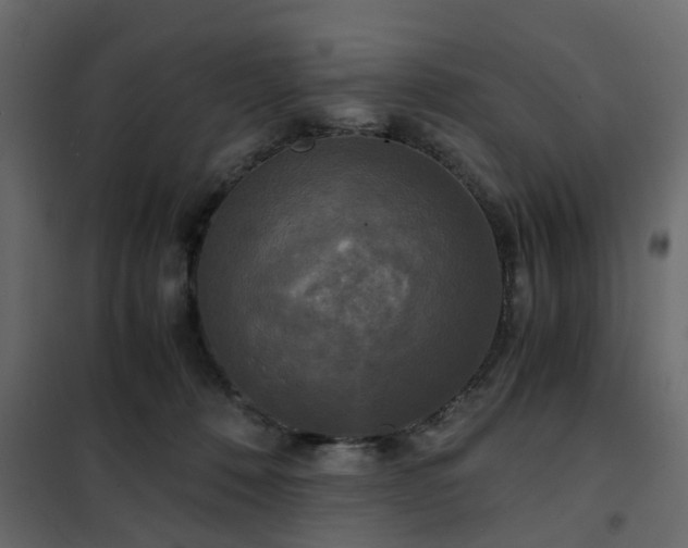 X0000102340320200808081137