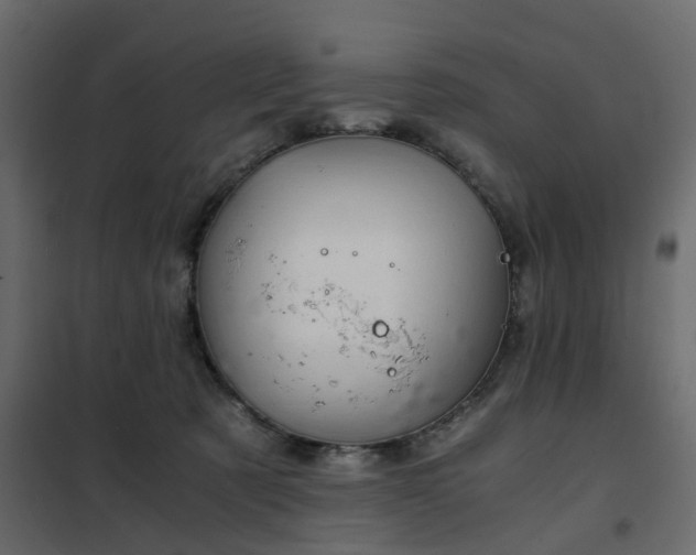 X0000102340321200808081137