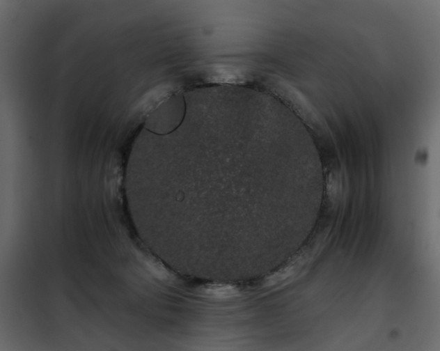 X0000102340322200808081137