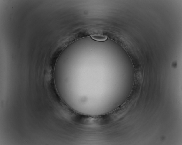 X0000102340323200808081137