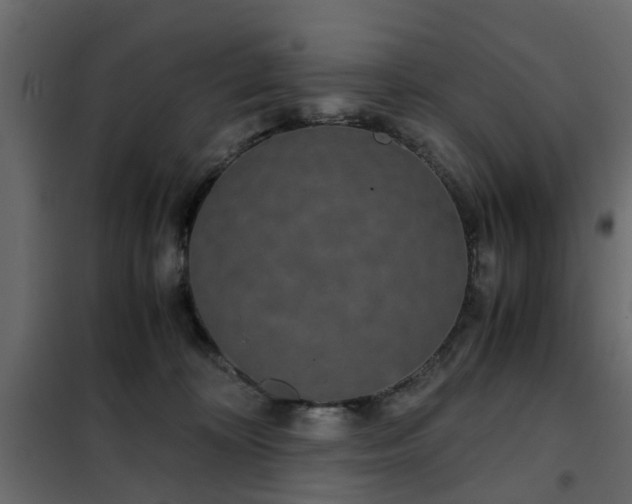 X0000102340324200808081137