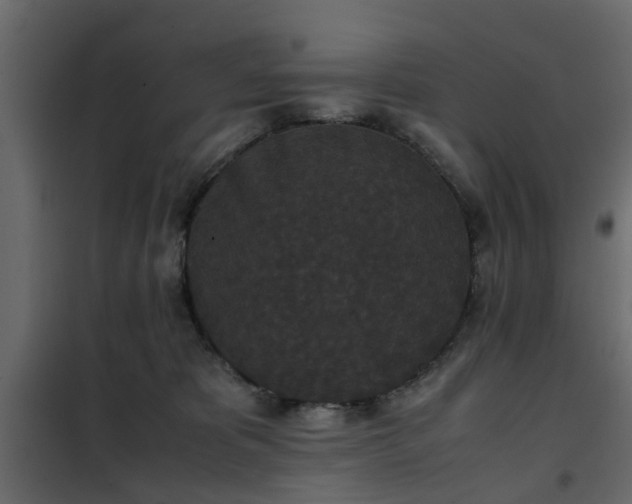 X0000102340325200808081137