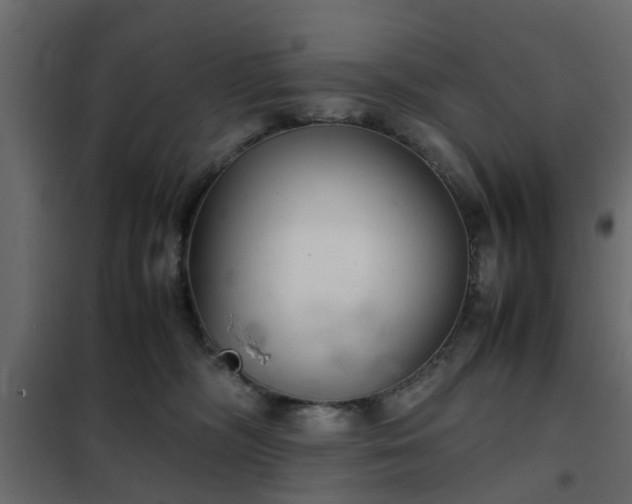 X0000102340326200808081137