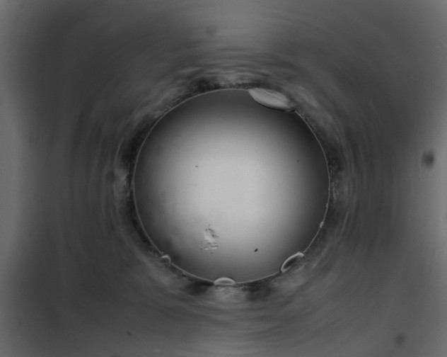 X0000102340327200808081137