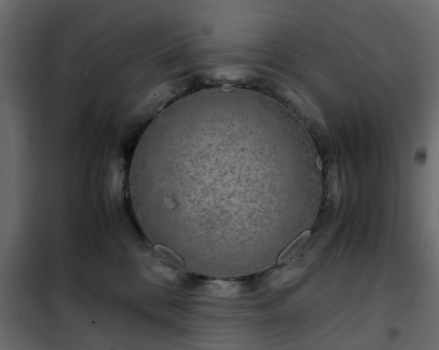 X0000102340328200808081137