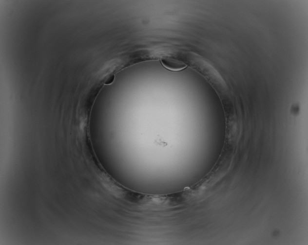 X0000102340329200808081137