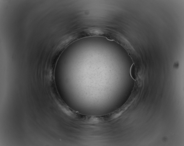 X0000102340330200808081137