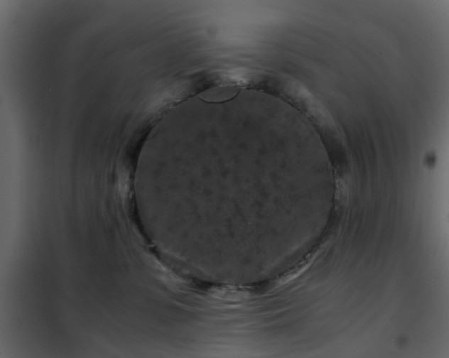 X0000102340331200808081136