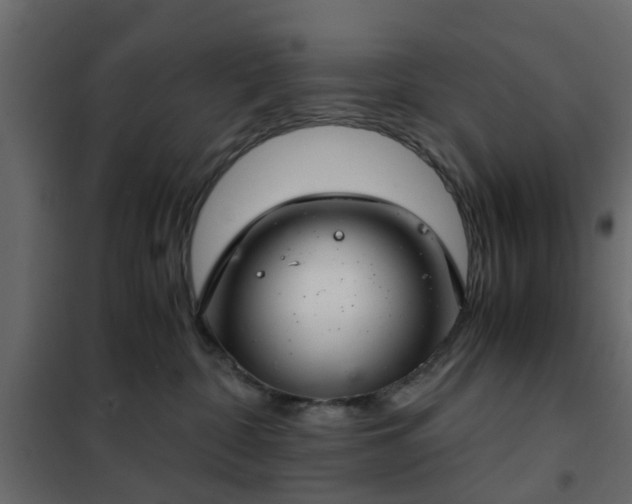 X0000102340332200808081136