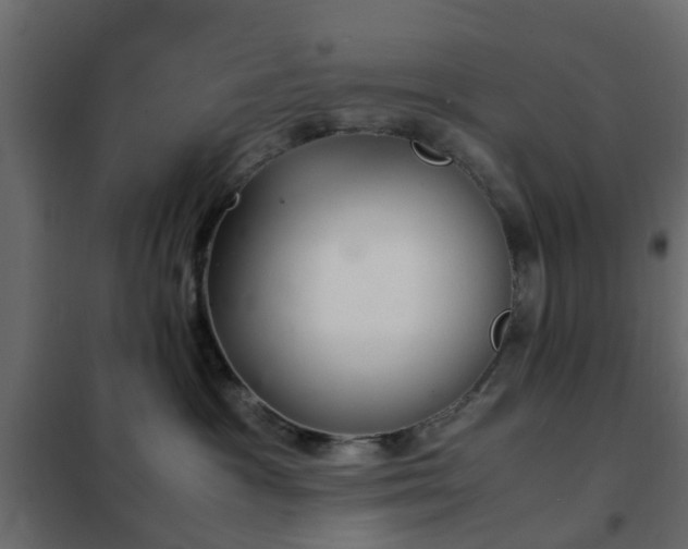 X0000102340333200808081136