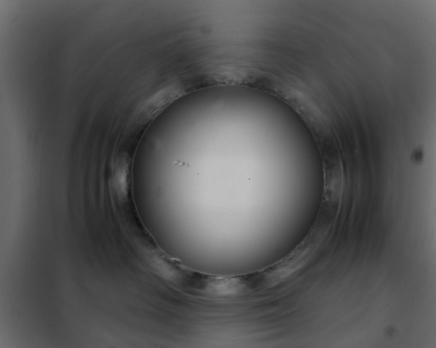 X0000102340334200808081136