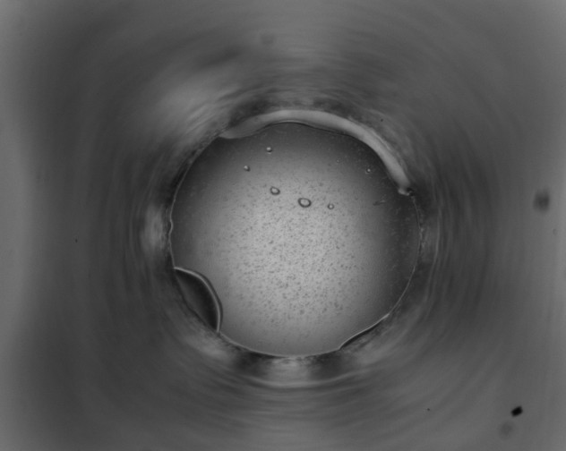 X0000102340335200808081136