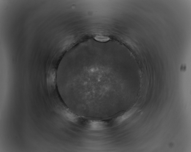 X0000102340336200808081136