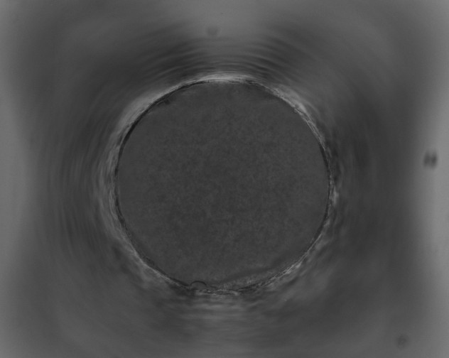 X0000102340337200808081136