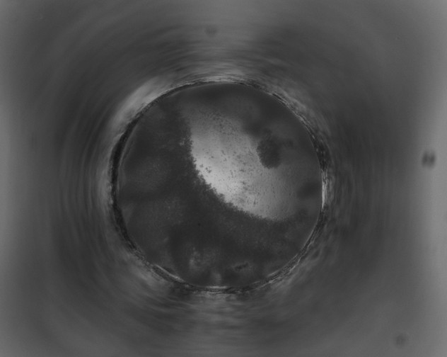 X0000102340339200808081136