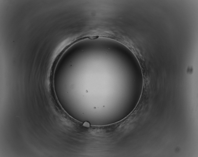 X0000102340340200808081136