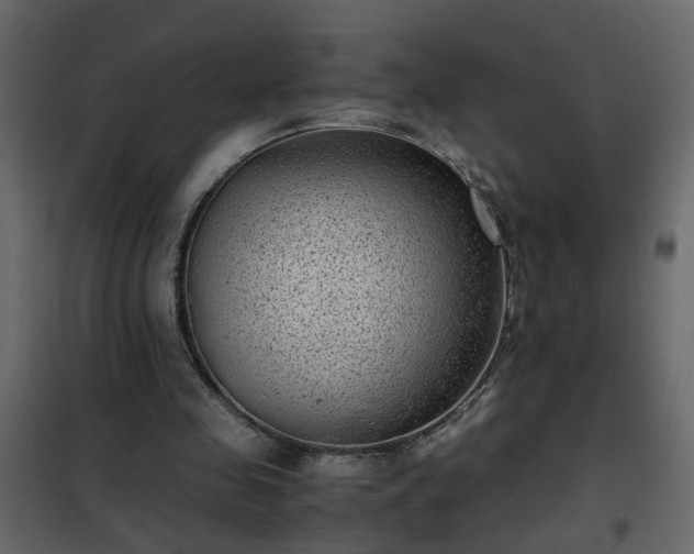 X0000102340341200808081136