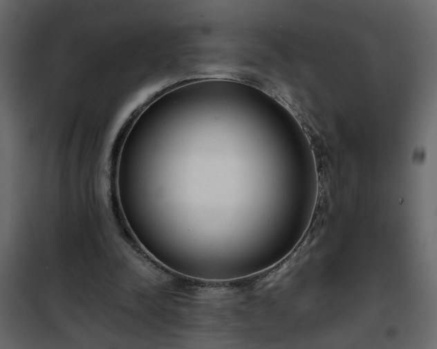 X0000102340342200808081136