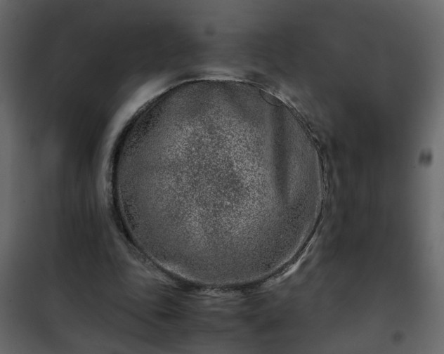 X0000102340343200808081136