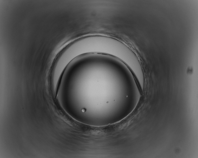 X0000102340344200808081136