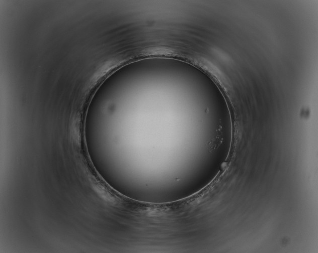 X0000102340345200808081136