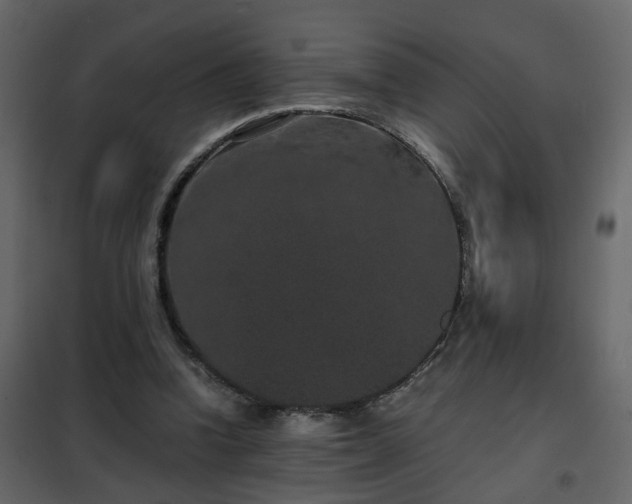 X0000102340346200808081136