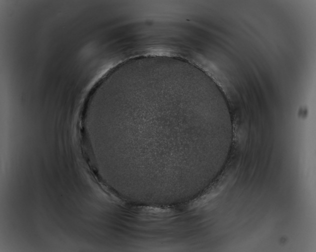 X0000102340347200808081136