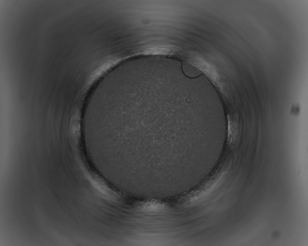 X0000102340348200808081136