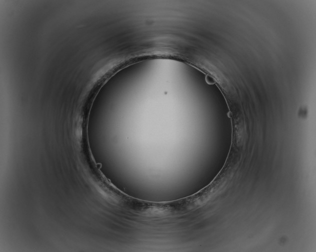 X0000102340350200808081136