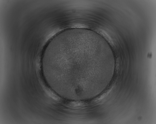 X0000102340351200808081136