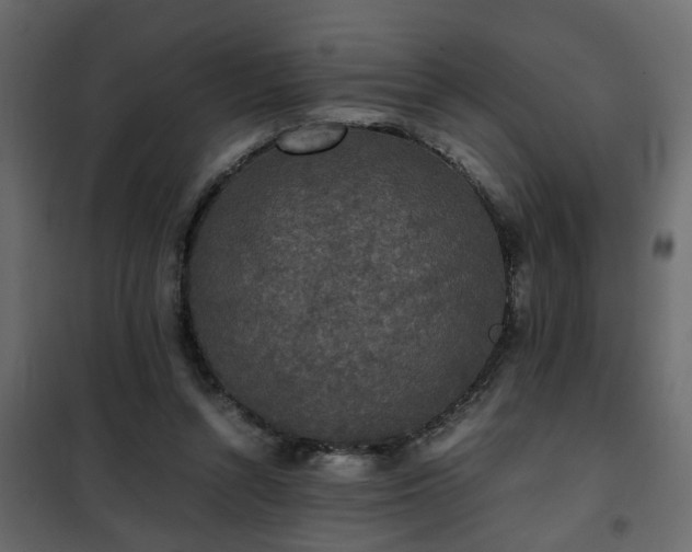 X0000102340352200808081136