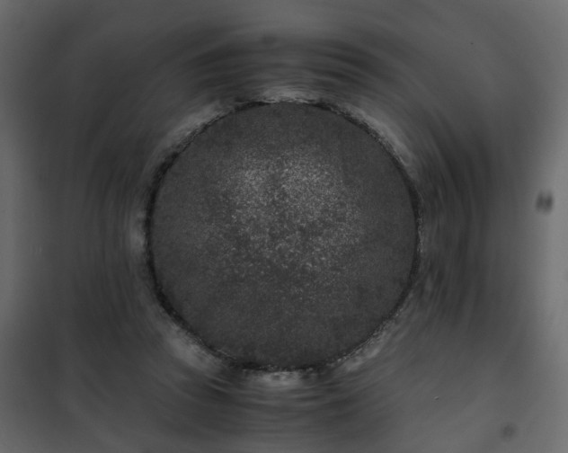 X0000102340353200808081136