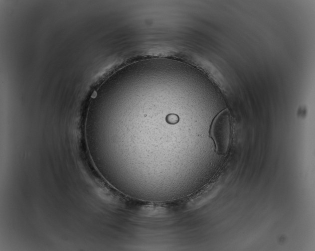 X0000102340354200808081136