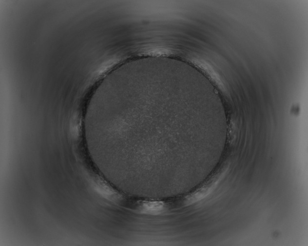 X0000102340355200808081136