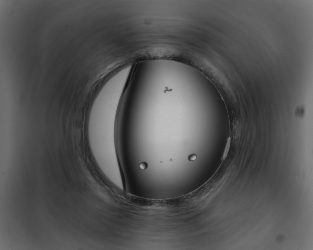 X0000102340356200808081136